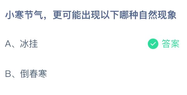 小寒节气，更可能出现以下哪种自然现象