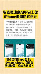 dynamicSpot如何设置灵动刘海