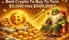 想把 5000 美元变成 50 万美元，买哪种加密货币最划算 分析师称，此次预售符合 2026 年的预期。