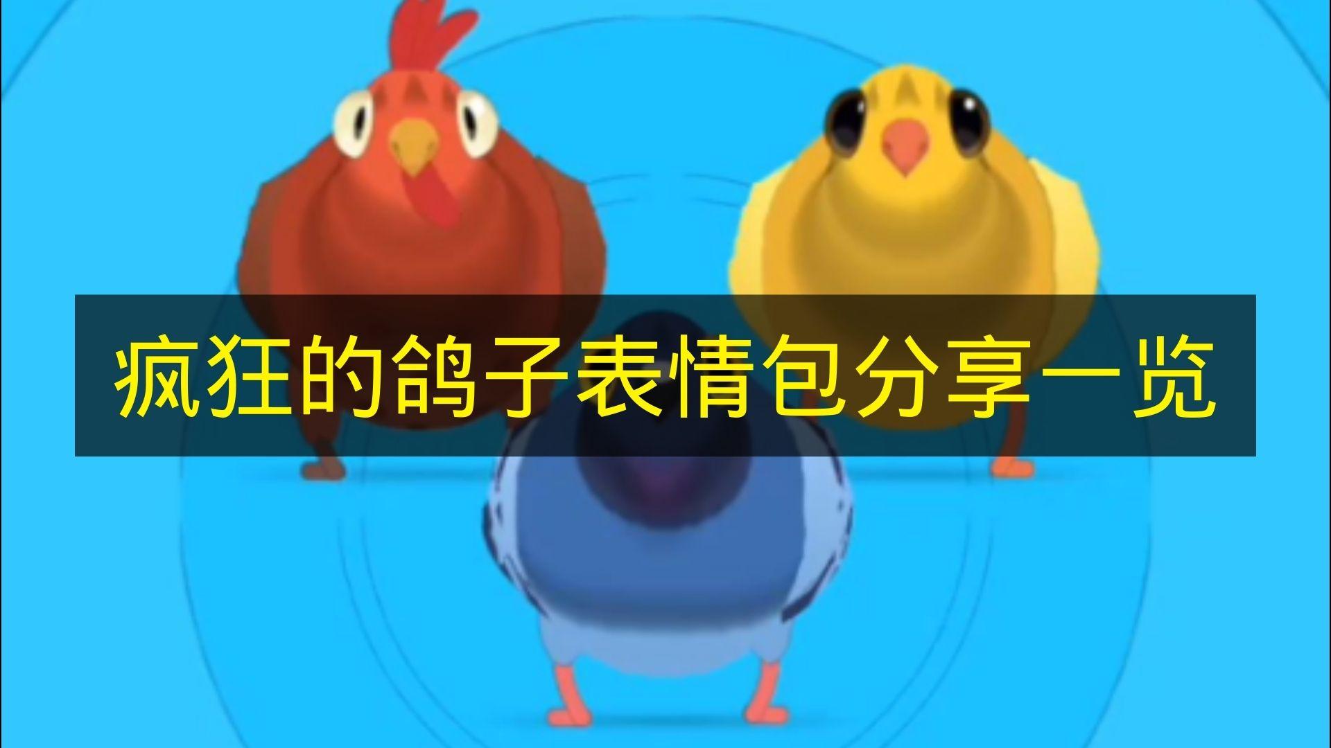 疯狂的鸽子 表情包分享一览