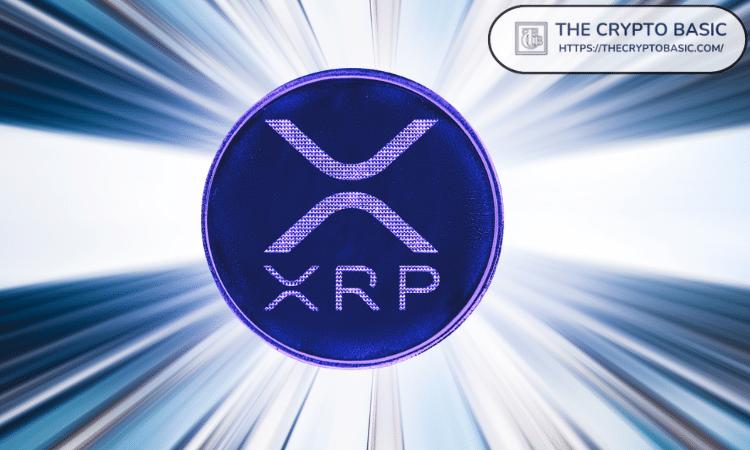 XRP 成为 X 交易所搜索量最高的股票代码之一