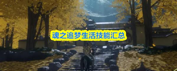 魂之追梦生活技能汇总
