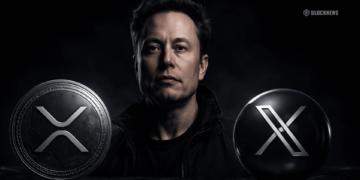 关于 XRP、埃隆·马斯克和 X Payments 的传闻愈演愈烈——以下是真相