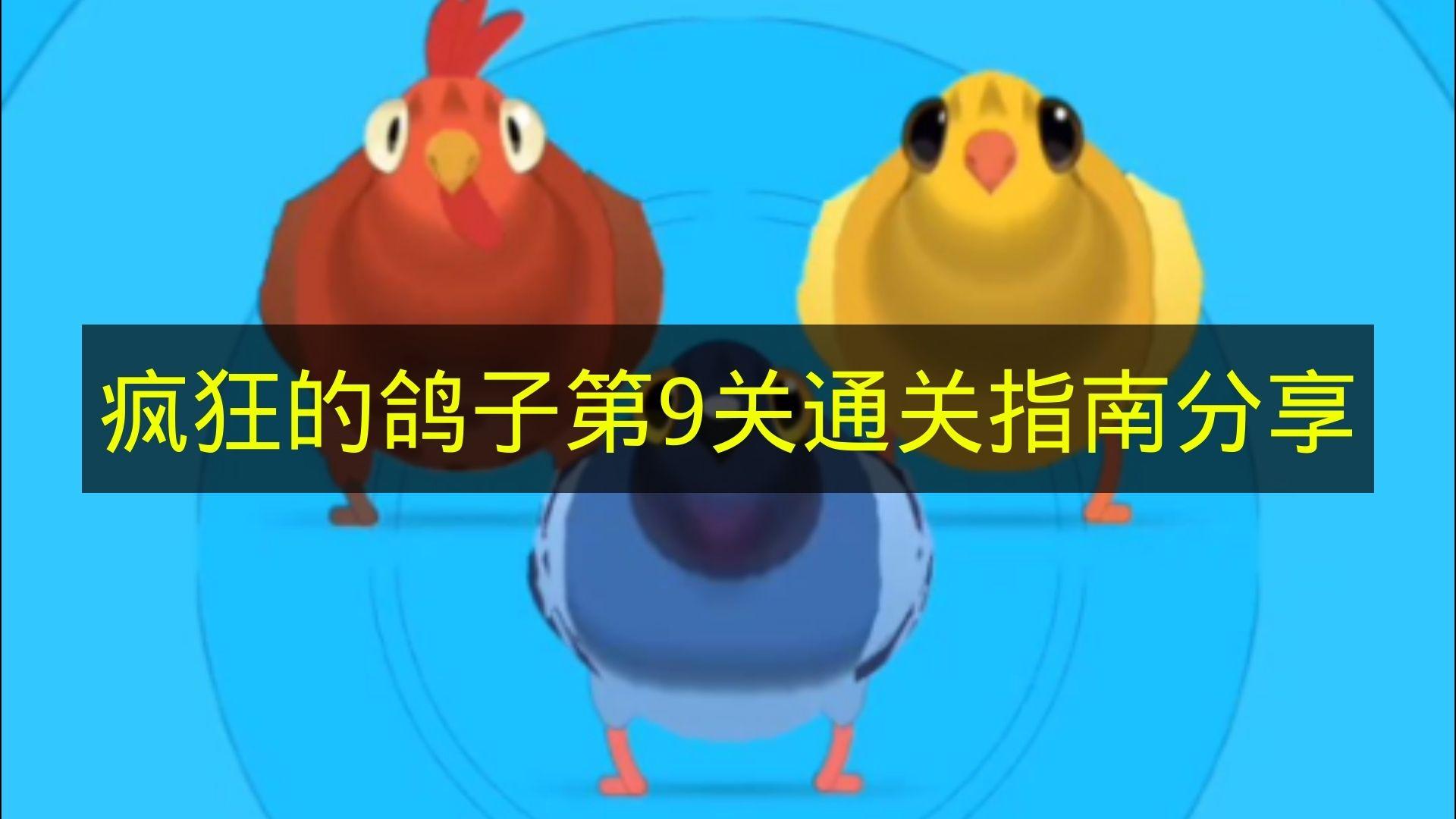 疯狂的鸽子 第9关通关指南分享