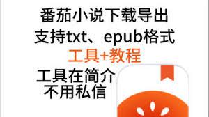 番茄免费小说下载的小说怎么导出为TXT