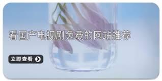 哪里能免费在线观看国产电视剧