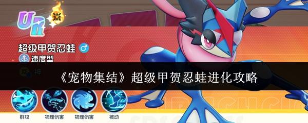 宠物集结 超级甲贺忍蛙进化攻略