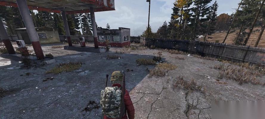 探索DayZ独立版的世界 在游戏中寻找物品的乐趣与挑战