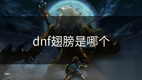 dnf翅膀是哪个
