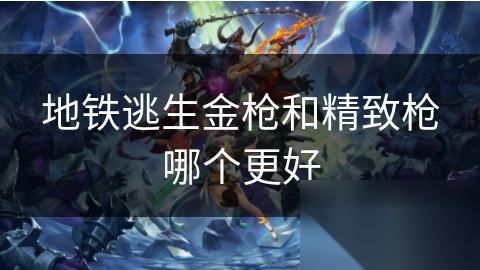 地铁逃生金枪和精致枪哪个更好