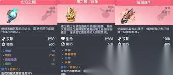 龙魂旅人塔萝丝怎么选择装备