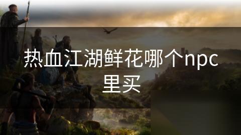 热血江湖鲜花哪个npc里买