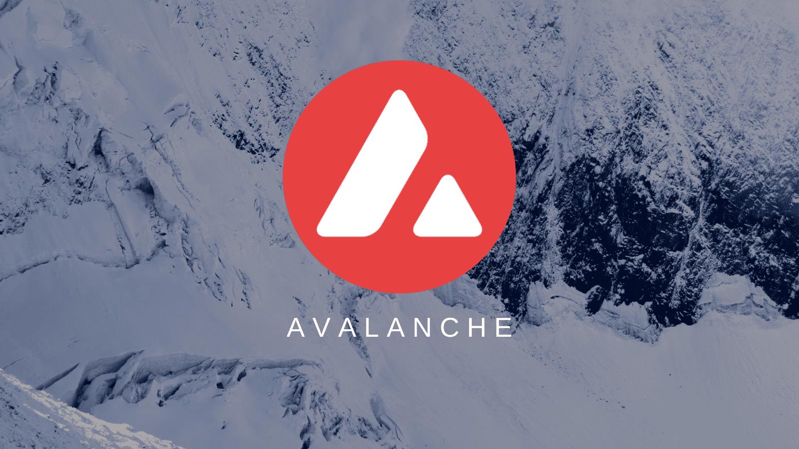 什么是Avalanche L1升级 AVAX验证门槛有什么变化