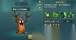 开局一个人宠物绝技怎么选