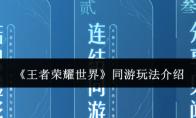 王者荣耀世界 同游玩法介绍