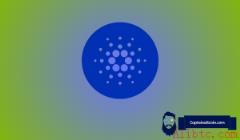 “我倾尽所有投资Cardano”——建造者为救房以0.16美元卖出ADA