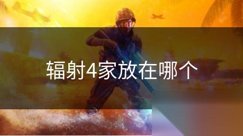辐射4家放在哪个