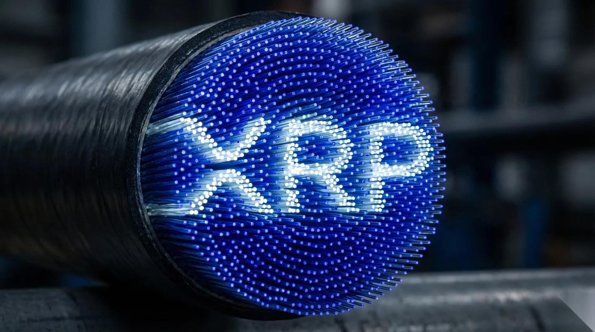 XRP每日支付量下降70%，目前为3.128亿XRP