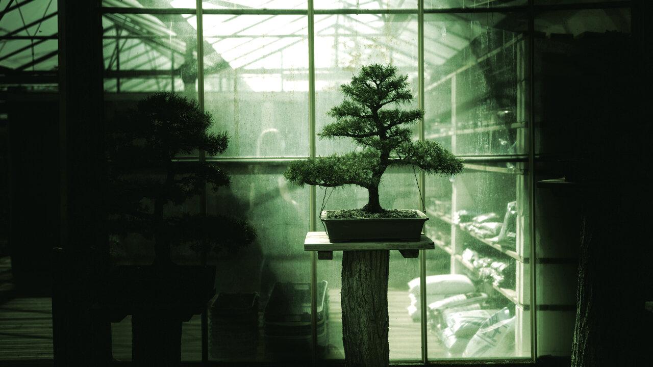 认识Bonsai：首个可装进手机的270亿参数AI模型