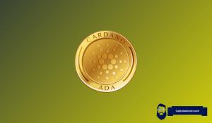 Cardano（ADA）遇麻烦 又一大DeFi项目突然关停