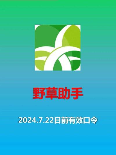 野草助手电视版安装包官方怎么获取
