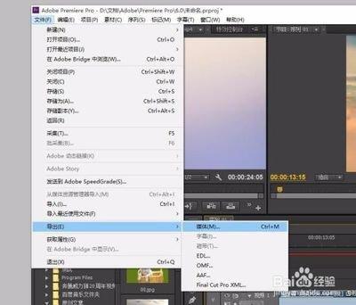 Adobe Bridge如何导出低分辨率图