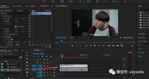 Premiere如何将音频变成小黄人声音