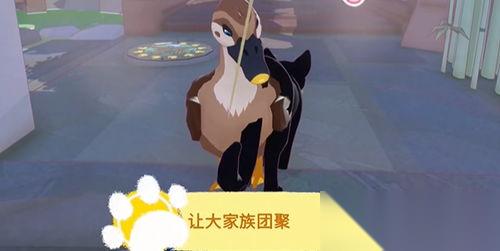 小猫咪大城市狗怎么过