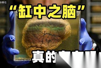 缸中之脑成就怎么做